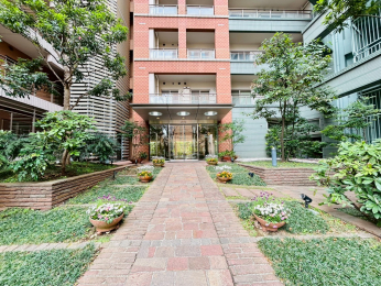 �G���g�����X�@-