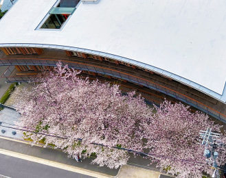 �Z�˂���̒��]�ʐ^�@-