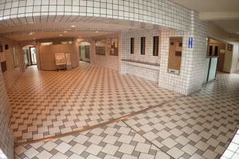 �G���g�����X�@���p��