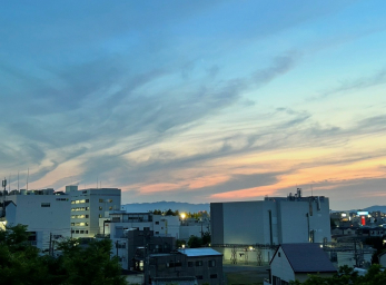 �Z�˂���̒��]�ʐ^�@�����F�ɐ��܂�[�i�����������]�ł���