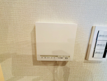 ���̑��@�����g�[