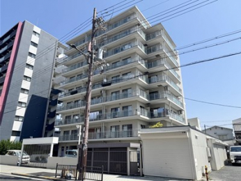 ���n�O�ώʐ^�@�z�N�������������܂���