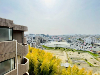 �Z�˂���̒��]�ʐ^�@-