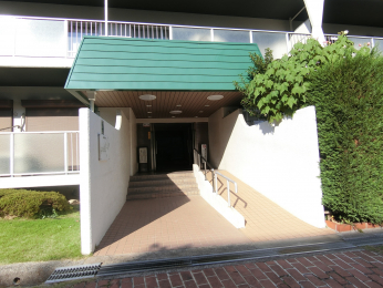 �G���g�����X�@���킢�炵���ΐF�̉������ڈ�̃G���g�����X