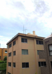 �Z�˂���̒��]�ʐ^�@-