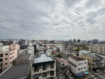 �Z�˂���̒��]�ʐ^�@���]�ǍD�ł���