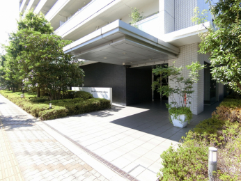 �G���g�����X�@�΂̐A�͂����ꂢ�ȃG���g�����X�ł�