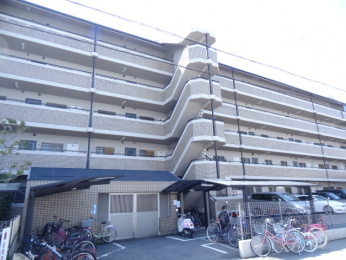 ���n�O�ώʐ^�@1990�N11���z