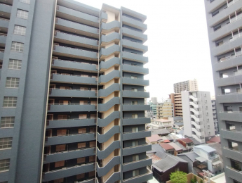 �Z�˂���̒��]�ʐ^�@-