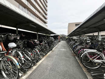 ���̑����p���@�����t���̒��֏�ŉJ�V���ɂ����S