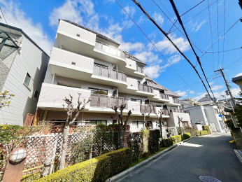 ���n�O�ώʐ^�@���ː�18�˂̃}���V�����ł�