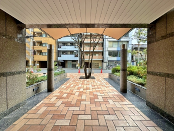 �G���g�����X�@-