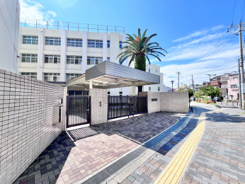 ���ӊ��@��Z�g���w�Z�܂Ŗ�550��