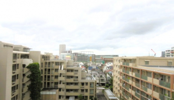 �Z�˂���̒��]�ʐ^�@-