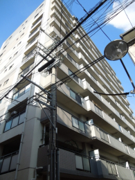 ���n�O�ώʐ^�@���ː�50�˂̃}���V�����ł�