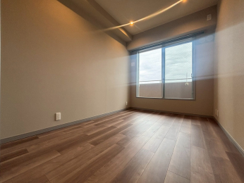 ���r���O�ȊO�̋����@-