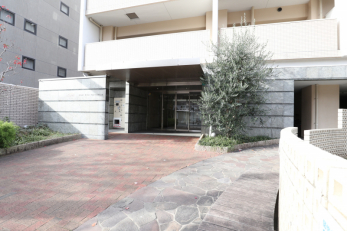 �G���g�����X�@-