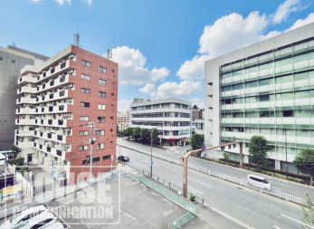 �Z�˂���̒��]�ʐ^�@���ڂ̑O�Ɍ������Ȃ��̂ŁA���󕨂��������芣�������ł�