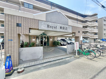 �G���g�����X�@���邭�D�����C�����ɂȂ郌���K���̃G���g�����X