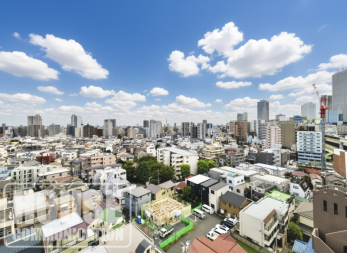 �Z�˂���̒��]�ʐ^�@���o���R�j�[����̒��]�ł��B11�K������ �������̂��߁A�X�Ƃ�����A�J���I�Ȍi�F�����y���݂��������܂�