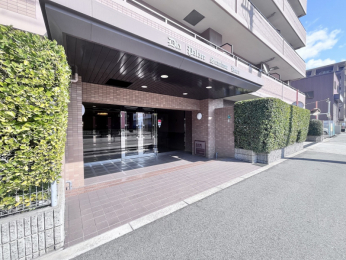 �G���g�����X�@�z����̗ǂ��J���I�ȃG���g�����X�X�y�[�X�I�u�₩�ȗ΂̐A�͂��o�}���Ă���܂���