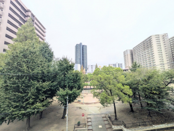 �Z�˂���̒��]�ʐ^�@-