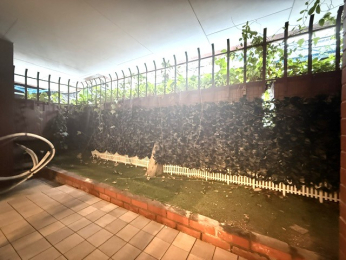�o���R�j�[�@-