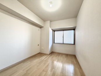 �m���@��6.2���̗m���B�������V���v���Ȃ��߃A�����W�����R����